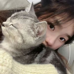 你已把我的心磨平