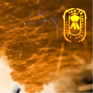 Lucid Dreemz (feat. Shash'U)