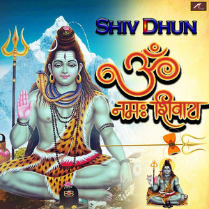 Om Namah Shivaya
