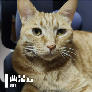 两朵云-送给宝贝们的歌