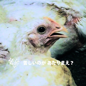 名前のない命