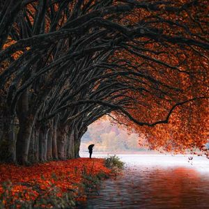 山野宁（轻音乐）