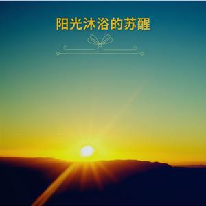 提高能量和活力