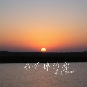 戒不掉的你