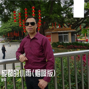 成都的小雨（烟嗓版）无损 伴奏