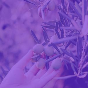 柔和的温泉时刻