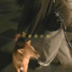 別離最終解