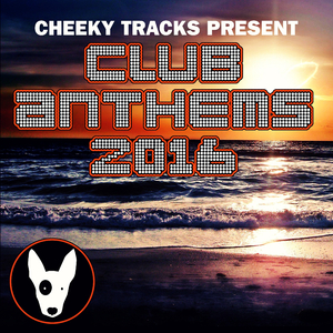 Won't Give It Up (Original Mix)