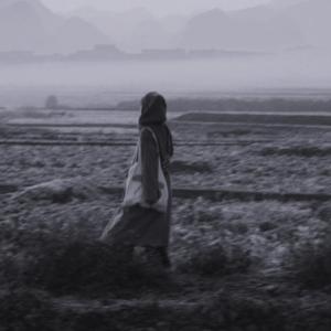 失去才懂(Pure piano)