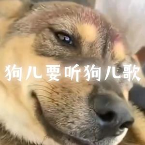 狗儿要听狗儿歌