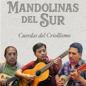 Querubín