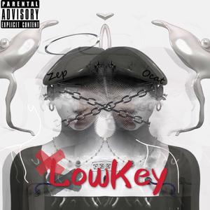 Hopsin-蛰伏（YoungZep / OCat伯仲 remix）