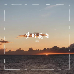 阿远-我不在迷茫（阿远 remix）