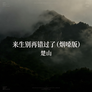 来生别再错过了(烟嗓版)