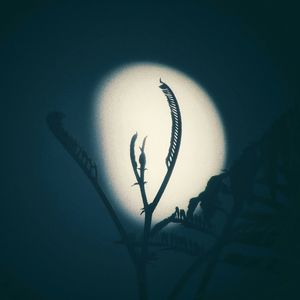 Beat`凤尾竹云南&Gunna Type Beat