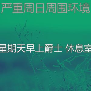 抚慰的轻松的周日回忆