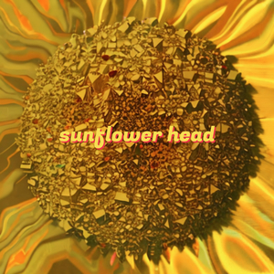 sunflower head
