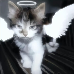 你的名字，我的执念（Prod.赖建宜）