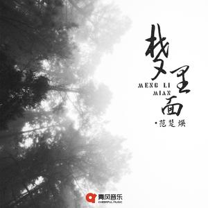 梦里面