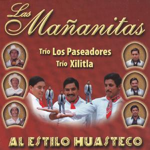 Las Mañanitas Huastecas (feat. Los Paseadores)