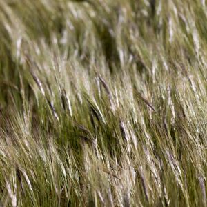 Al Otro Lado Del Cosmos