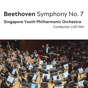 Symphony No. 7 in A Major, Op. 92: II. Allegretto