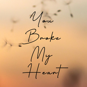 You Broke My Heart