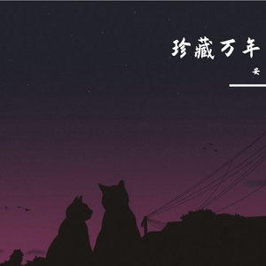 珍藏万年