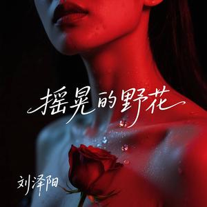 摇晃的野花女声版（8D）