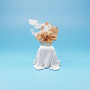 WHY YOU (feat. Baeb)