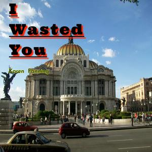 I Wasted You