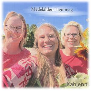 Medelålders lagomjag