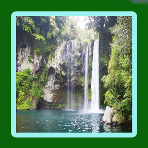 푸른 숲 : 초원의 멜로디