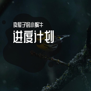 夜晚的风6