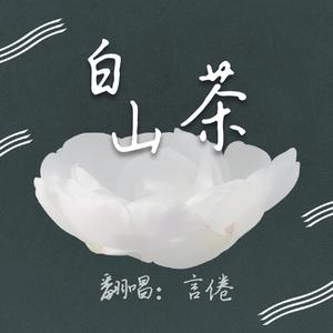 白山茶（翻自 陈雪凝）