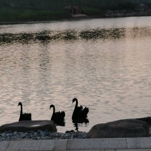 紫迷魅1651576096060_20220503_190834