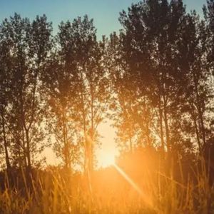 秋风吹起（温柔版）