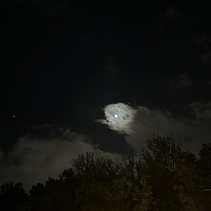 갈 수 있어야 가지 (feat. 몽크)