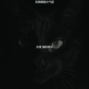 抚慰的压力大的猫回忆