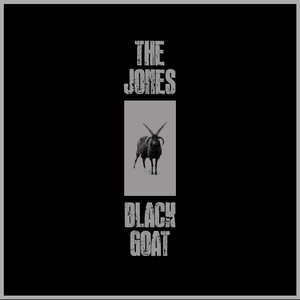 Howlin' Broken Heart