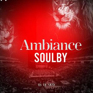 Bara (Dj Nico Remix)