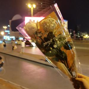 我不是你的宋冬野