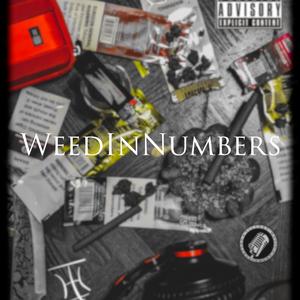 WeedInNumbers