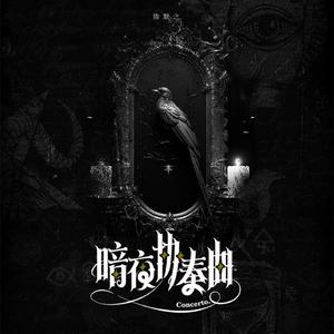 暗夜协奏曲