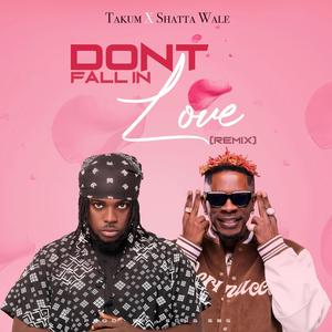 Don't Fall In Love (feat. Shatta Wale) (Remix)