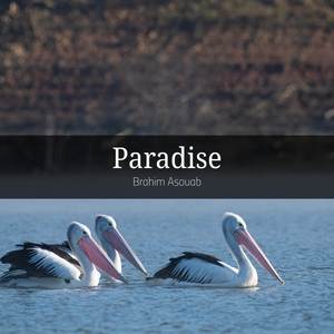 Paradise