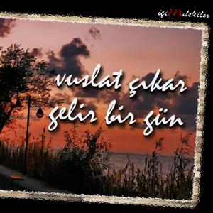 Vuslat Çıkar Gelir Bir Gün - Mehmet Şamil