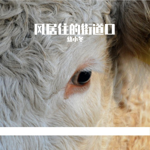 车票是时间的船票