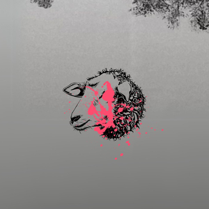 CORDEIRINHO instrumental