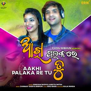 Aakhi Palaka Re Tu